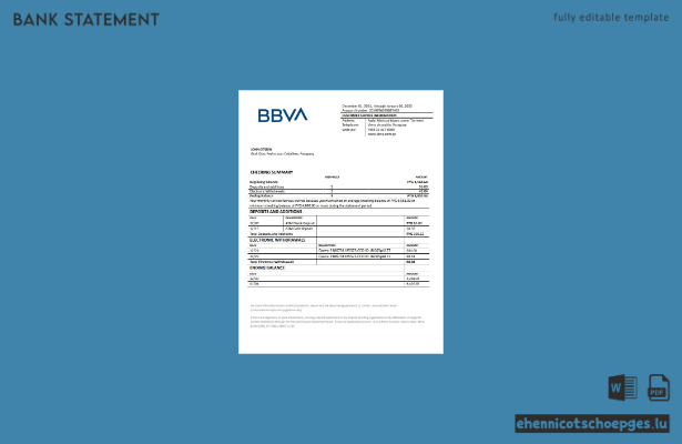 Beispiel eines Kontoauszugs der BBVA-Bank in Paraguay (Vorschau)